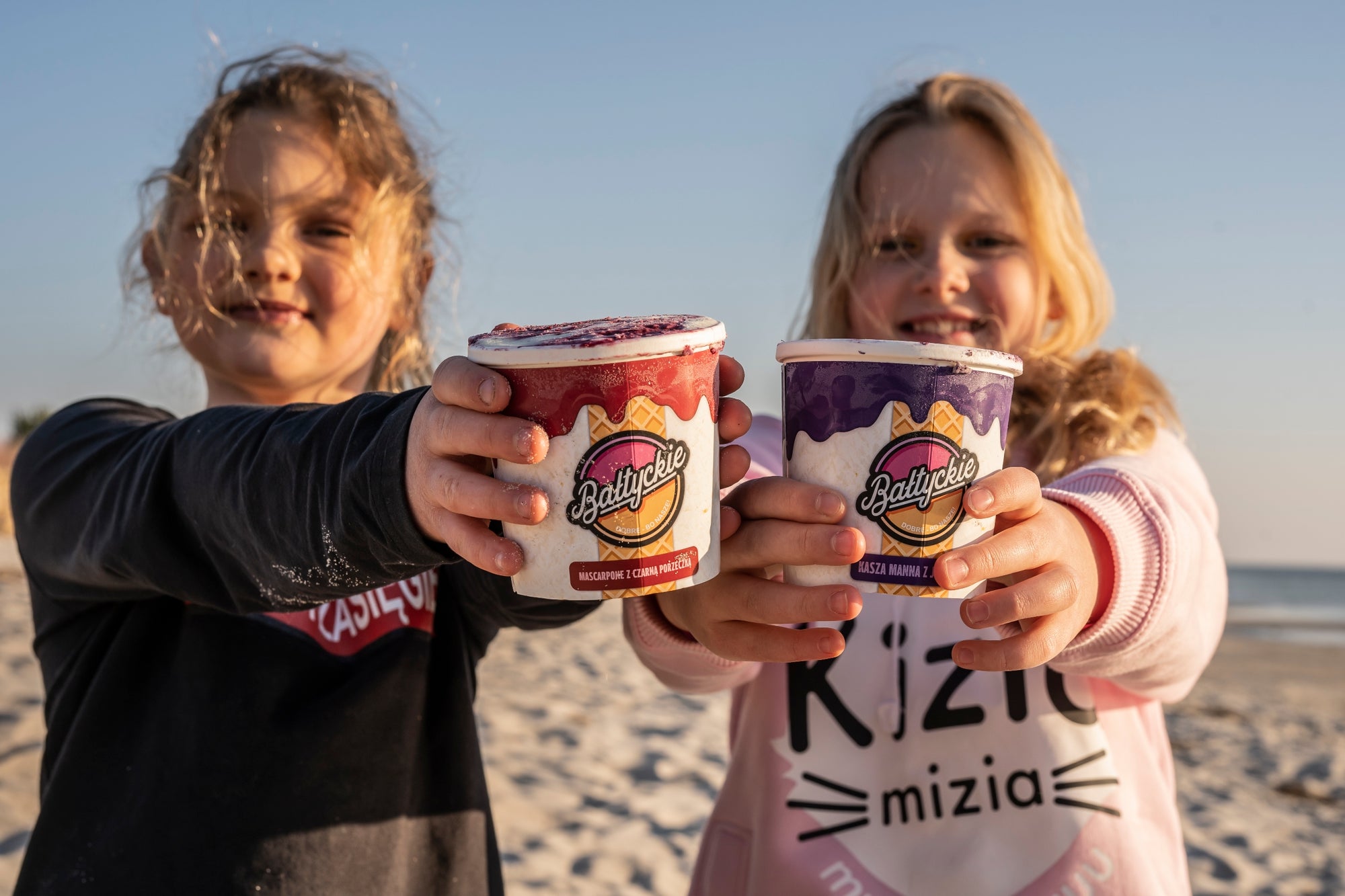Lody Bałtyckie — nasze produkty